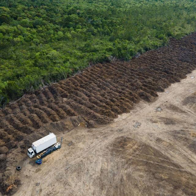Amazonas verliert in 40 Jahren Fläche größer als Spanien