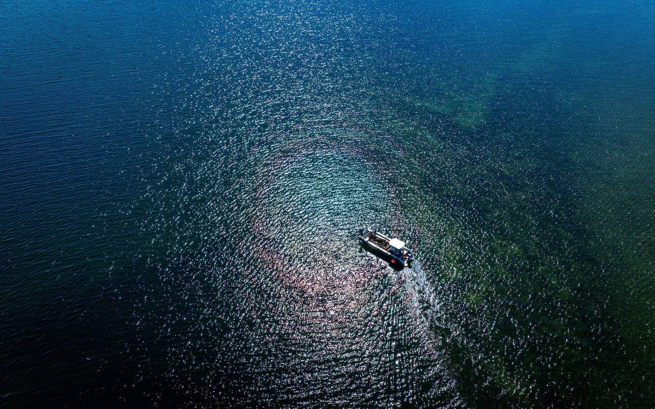 Ziegen ziehen auf Boot zur Insel Walfisch um
