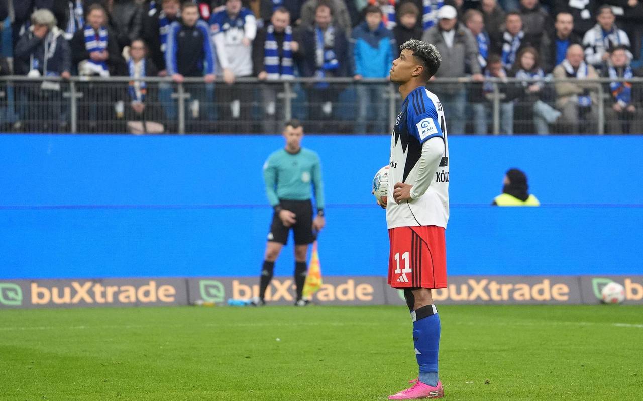 Hamburger SV - VfL Wolfsburg