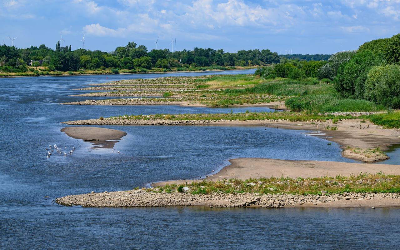 Niedrigwasser im Grenzfluss Oder