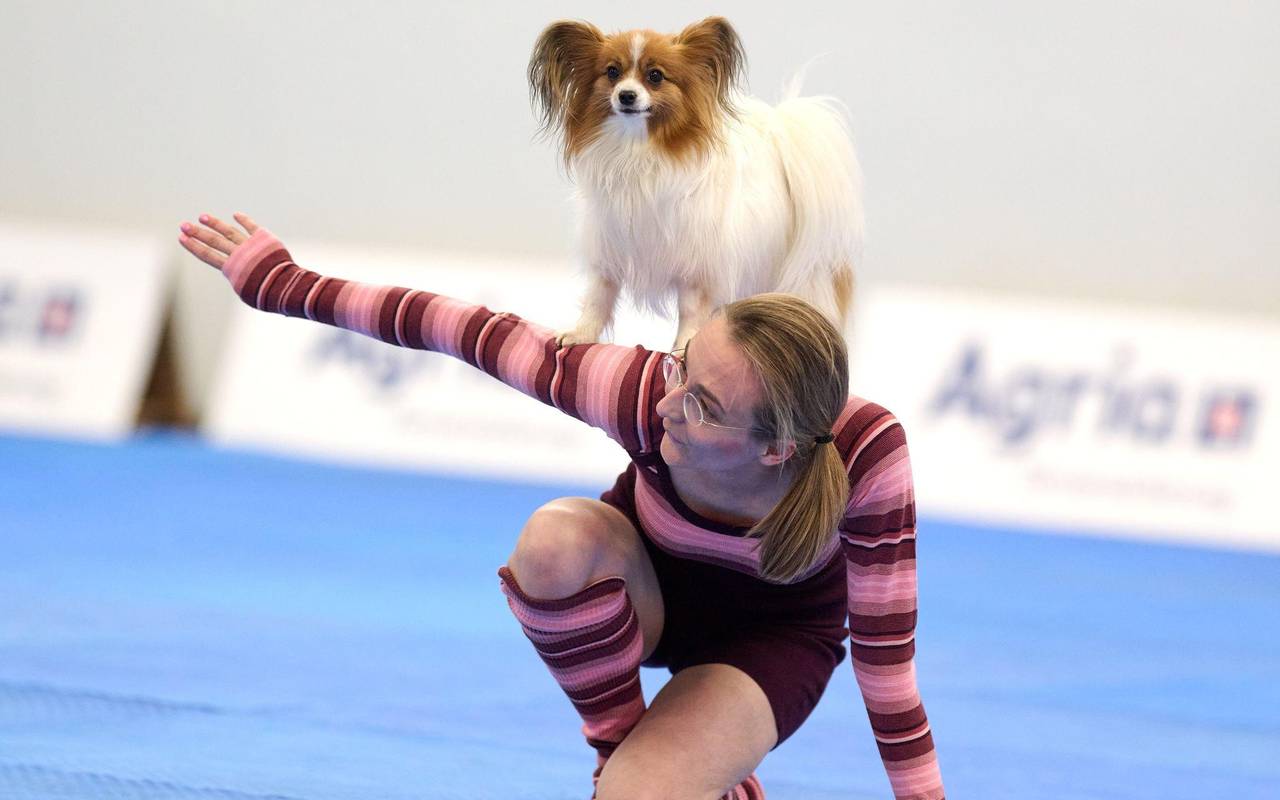 Meisterschaft im Dog Dancing auf Messe «Hund & Pferd»