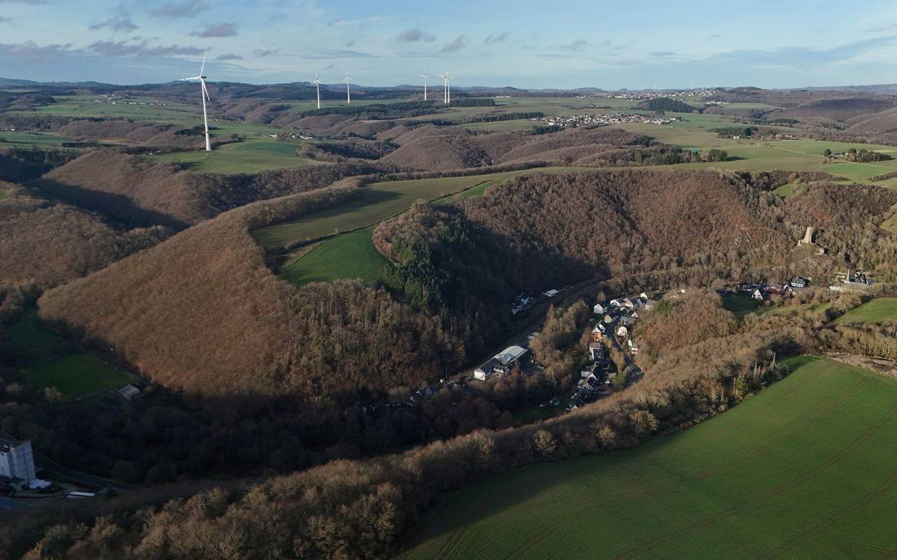 Fund einer Leiche in Rheinland-Pfalz