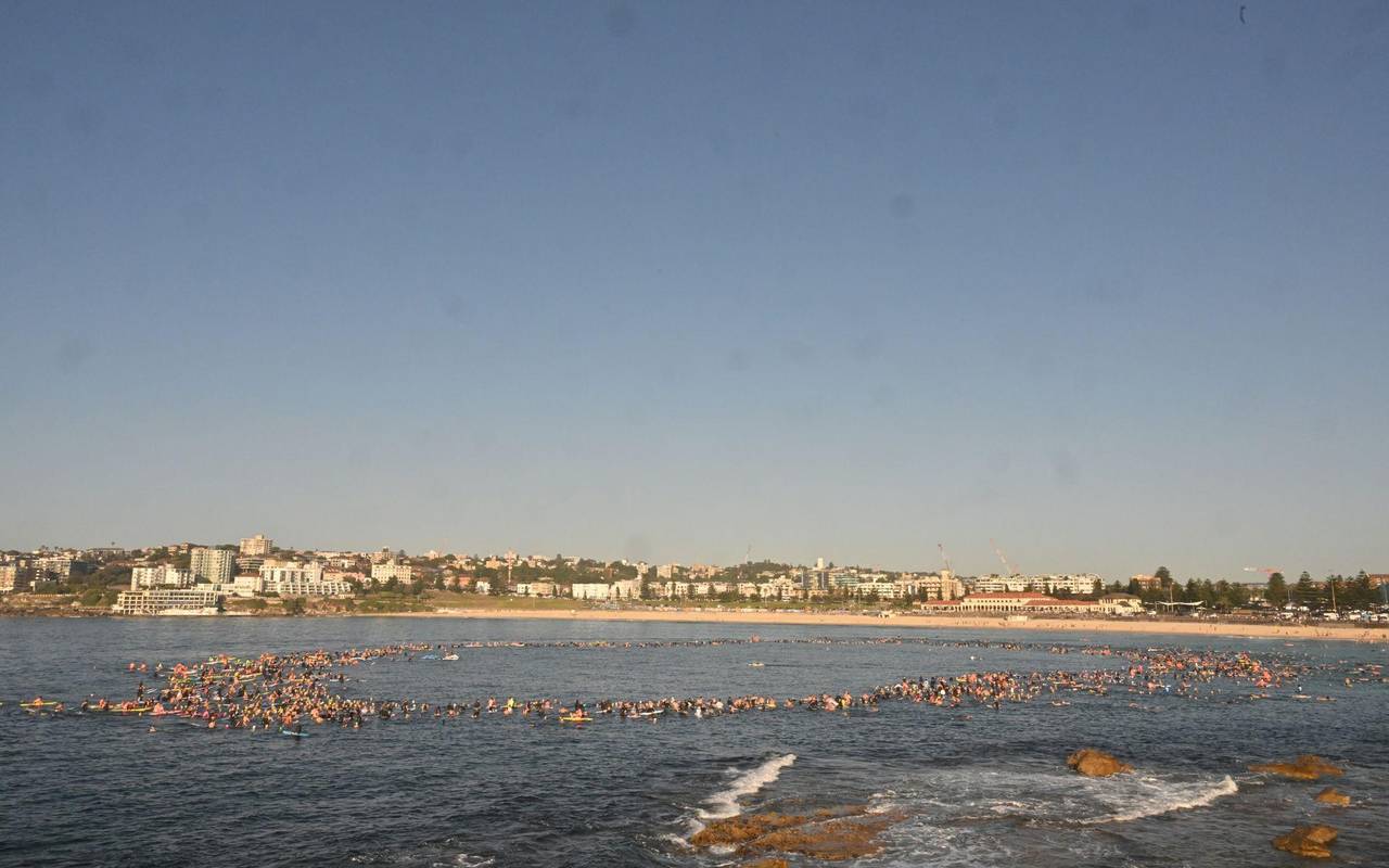 Nach Angriff am Bondi Beach