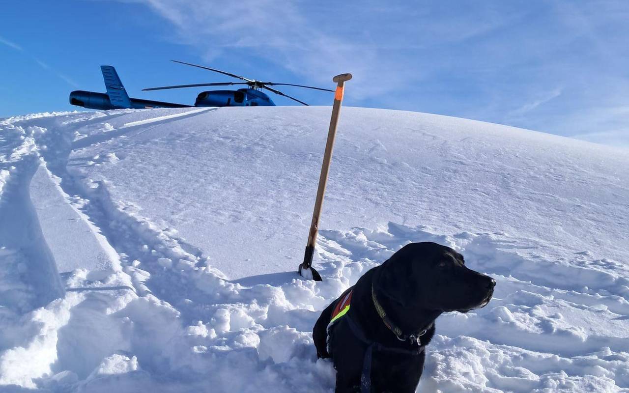 Acht Tote bei drei Lawinenabgängen in Österreich