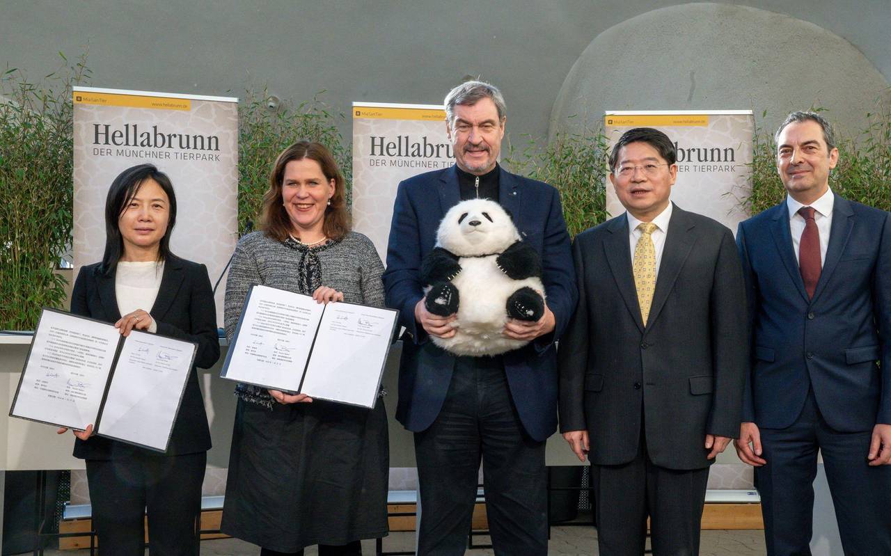 Panda-PK im Tierpark Hellabrunn