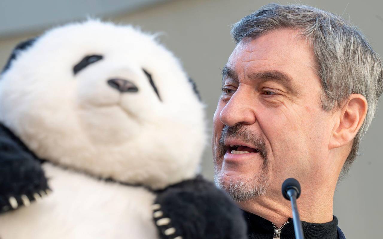 Panda-PK im Tierpark Hellabrunn