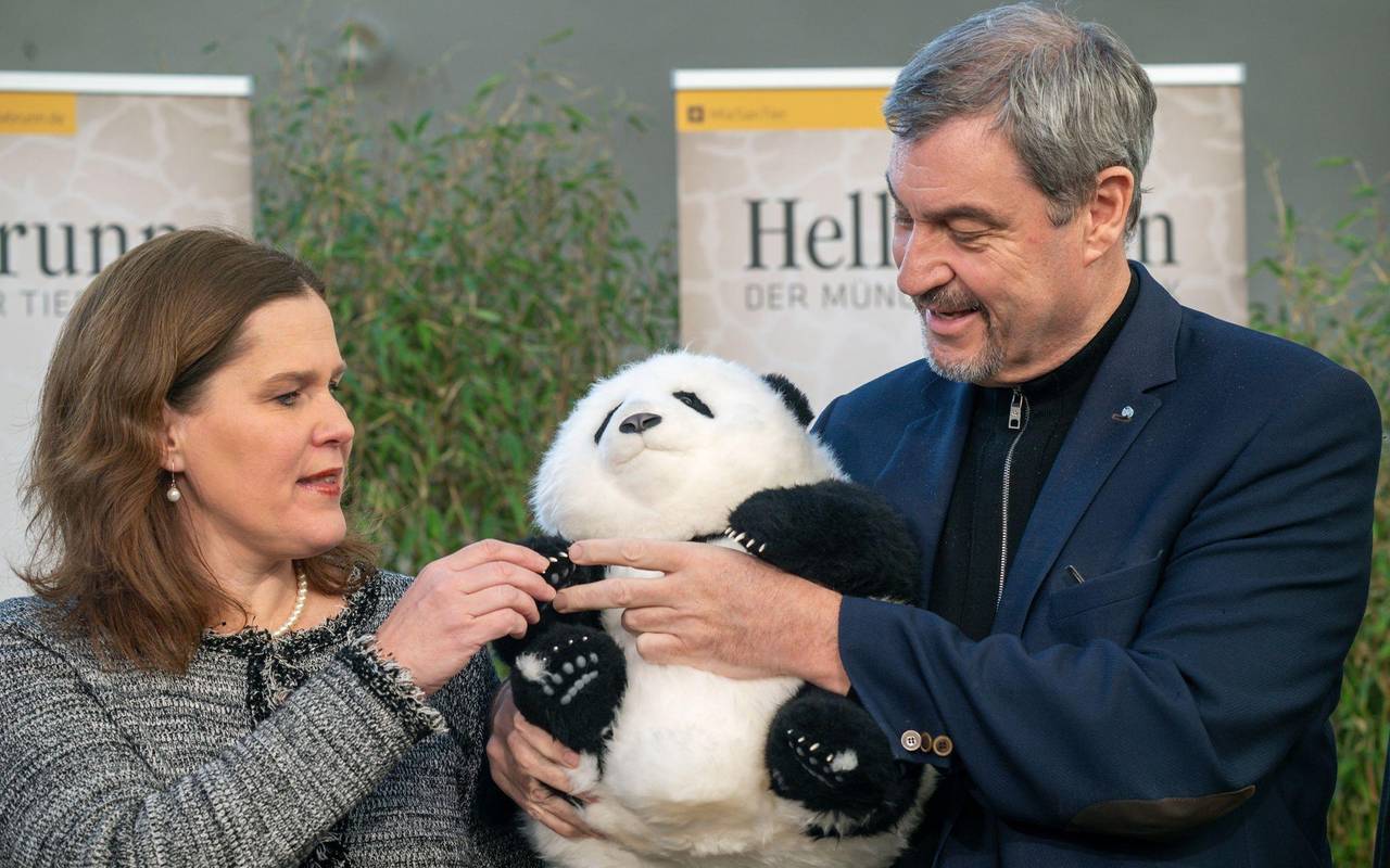 Panda-PK im Tierpark Hellabrunn