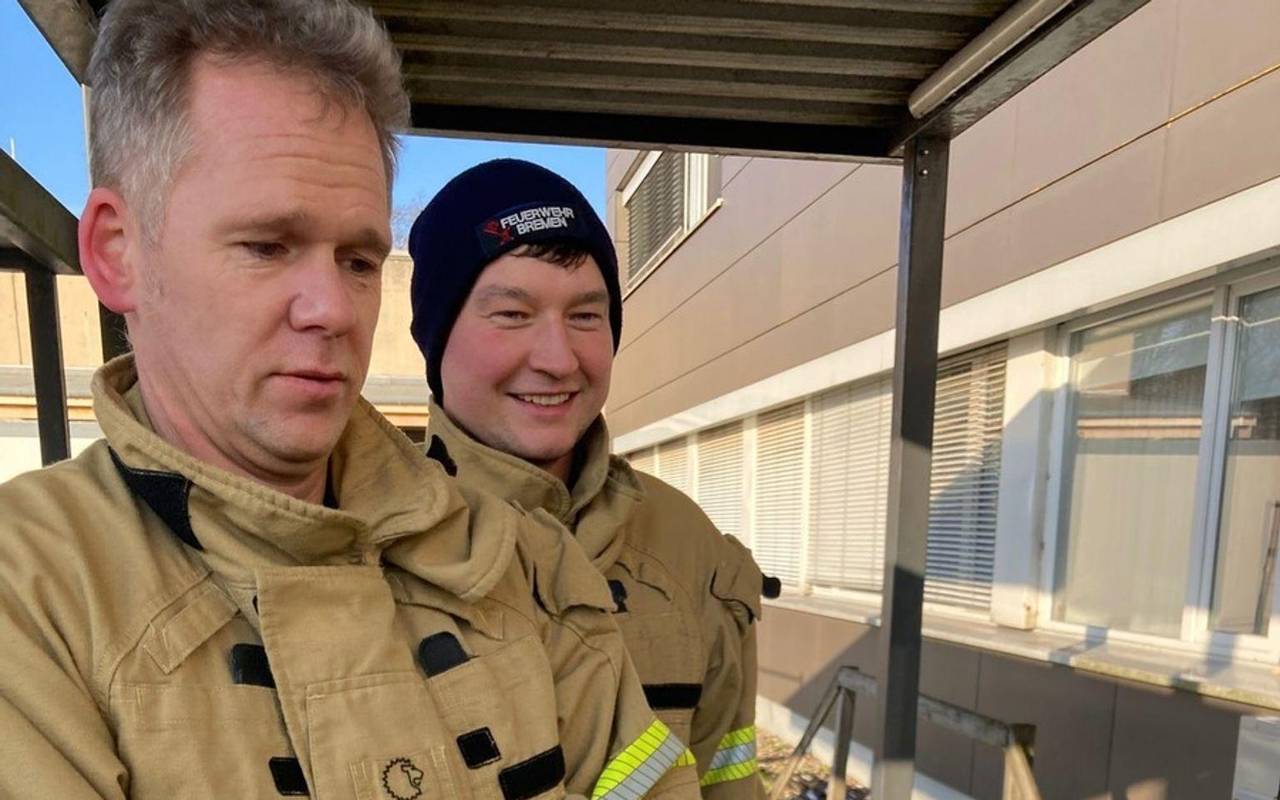 Verletzter Kormoran pickt gegen Tür von Notaufnahme