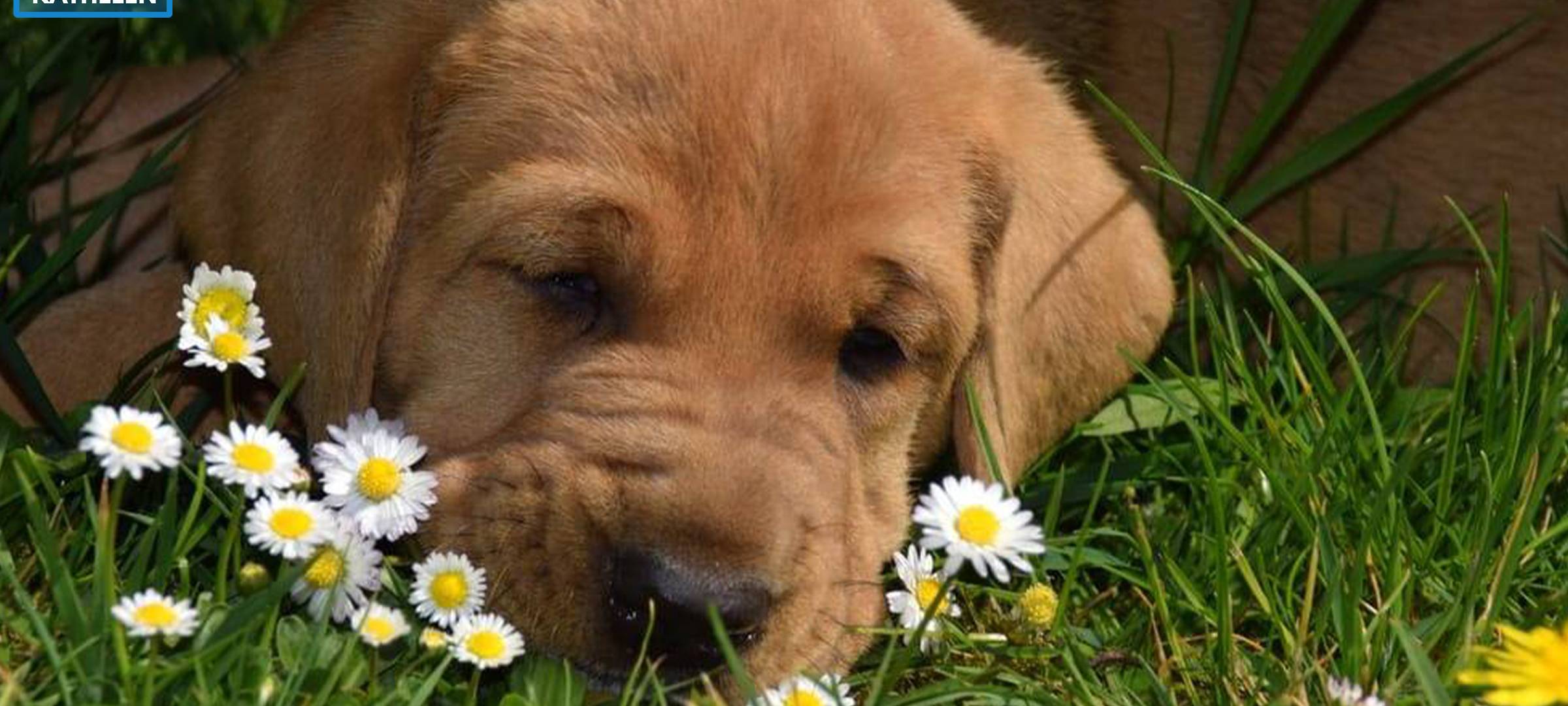 Sören und Kathleen - DAS FOTO DER WOCHE - Archiv