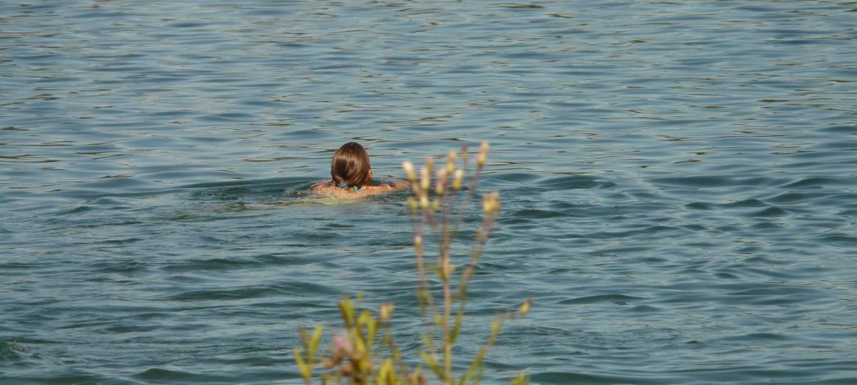 Badeverbot im Dümmer See