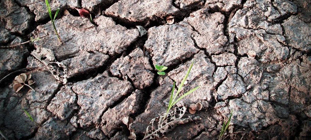 Dürre und Waldbrandgefahr!
