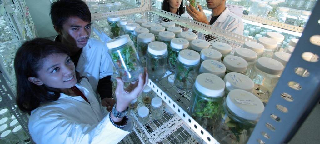 Exzellenz-Uni Münster?