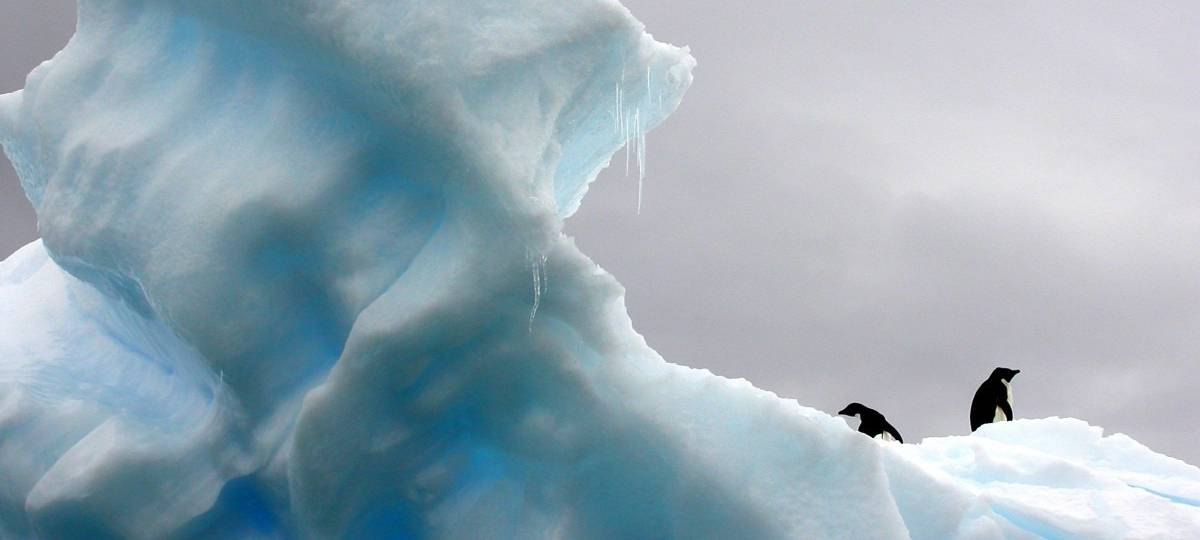 10 einfache Dinge gegen den Klimawandel