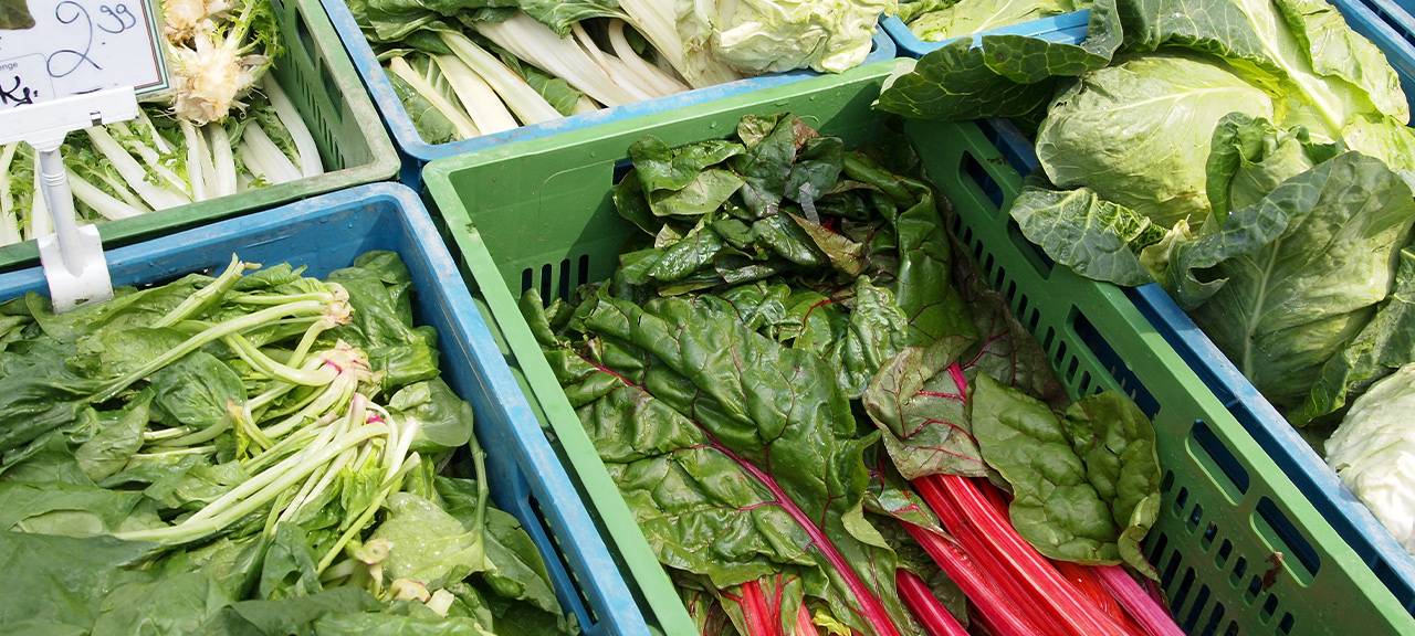 Was sagt ein Bio-Landwirt zu Bio vom Discounter?