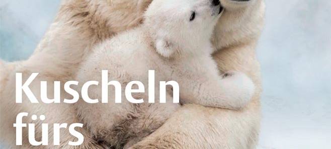 Klimaschutz in Gastronomiebetrieben