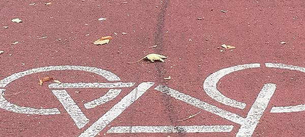 Bund der Steuerzahler kritisiert Fälle aus der Region