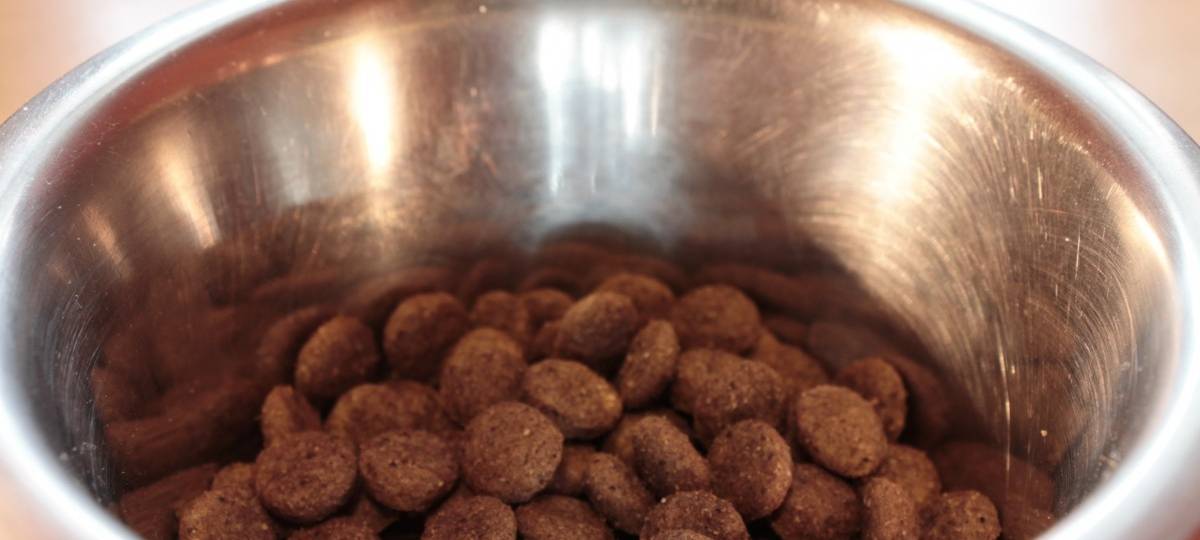 Hundefutter zurückgerufen