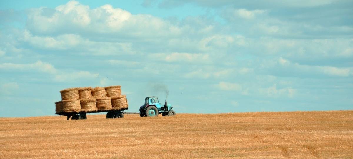 Bauernproteste sorgen für Probleme im Verkehr