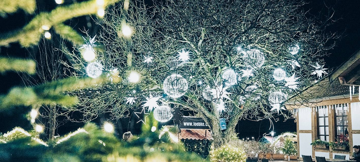 Hof Löbke spendet für Lichtblicke