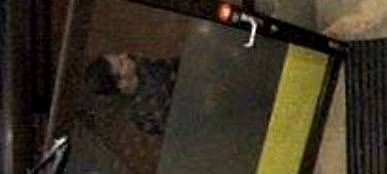 Vergewaltigung im Aufzug - Polizei Münster sucht Zeugen