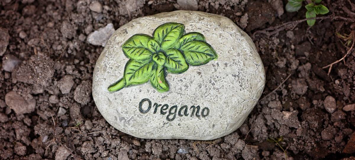 Erweiterte Rückrufaktion für Oregano von Fuchs aus Dissen