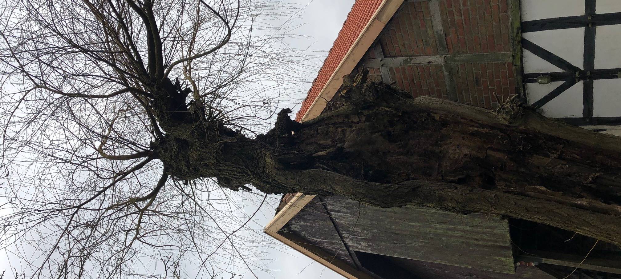 Die RADIO RST-DORF-STORY