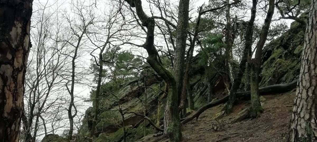 DIE RADIO RST-DORF-STORY Dörenthe
