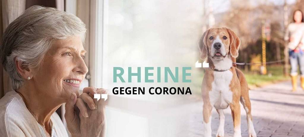 Profis koordinieren Hilfe