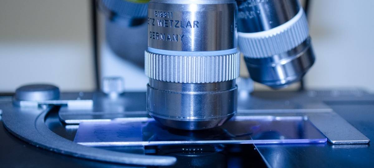 Coronavirus: sechs weitere Todesfälle