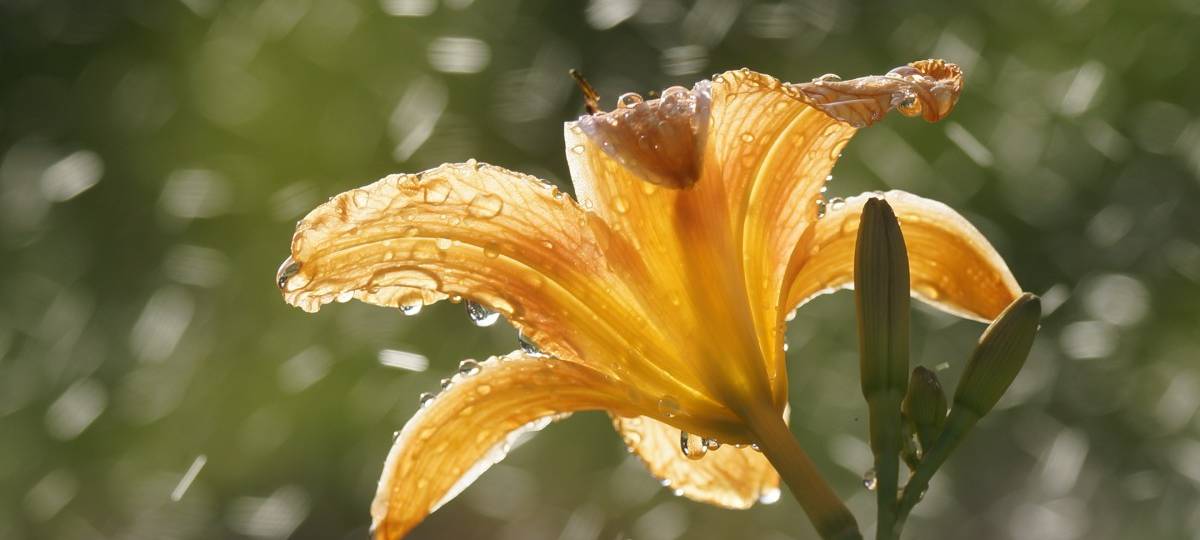 Wasser sparen in der Region