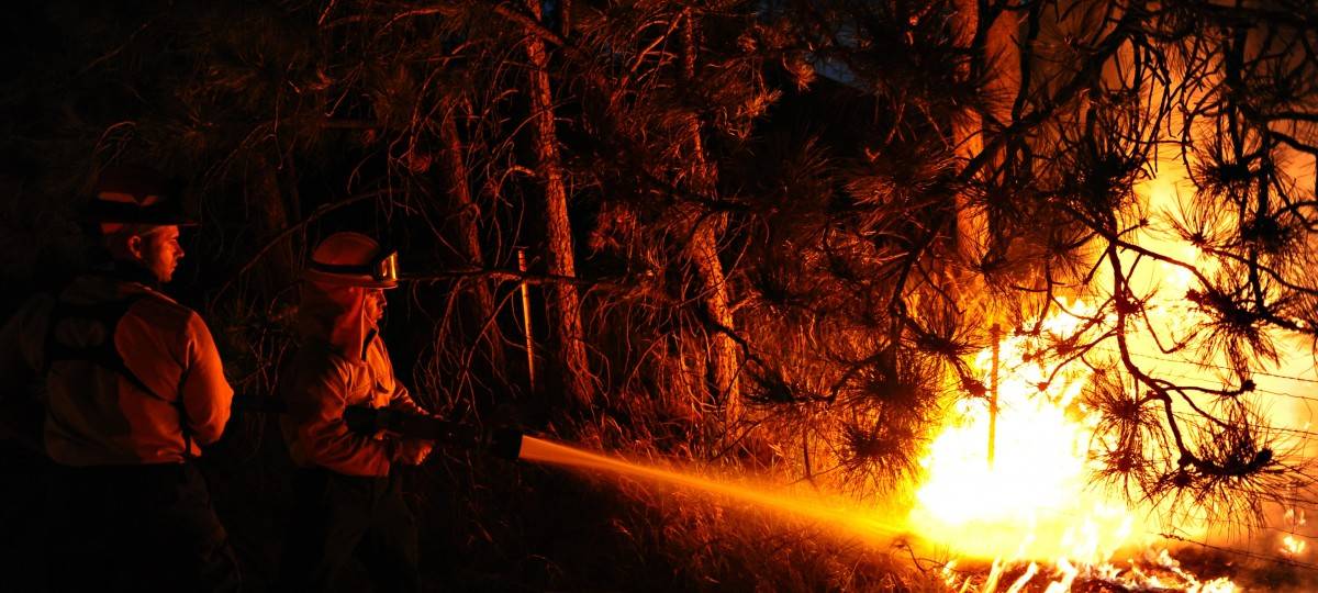 Waldbrandgefahr durch Wind und Trockenheit