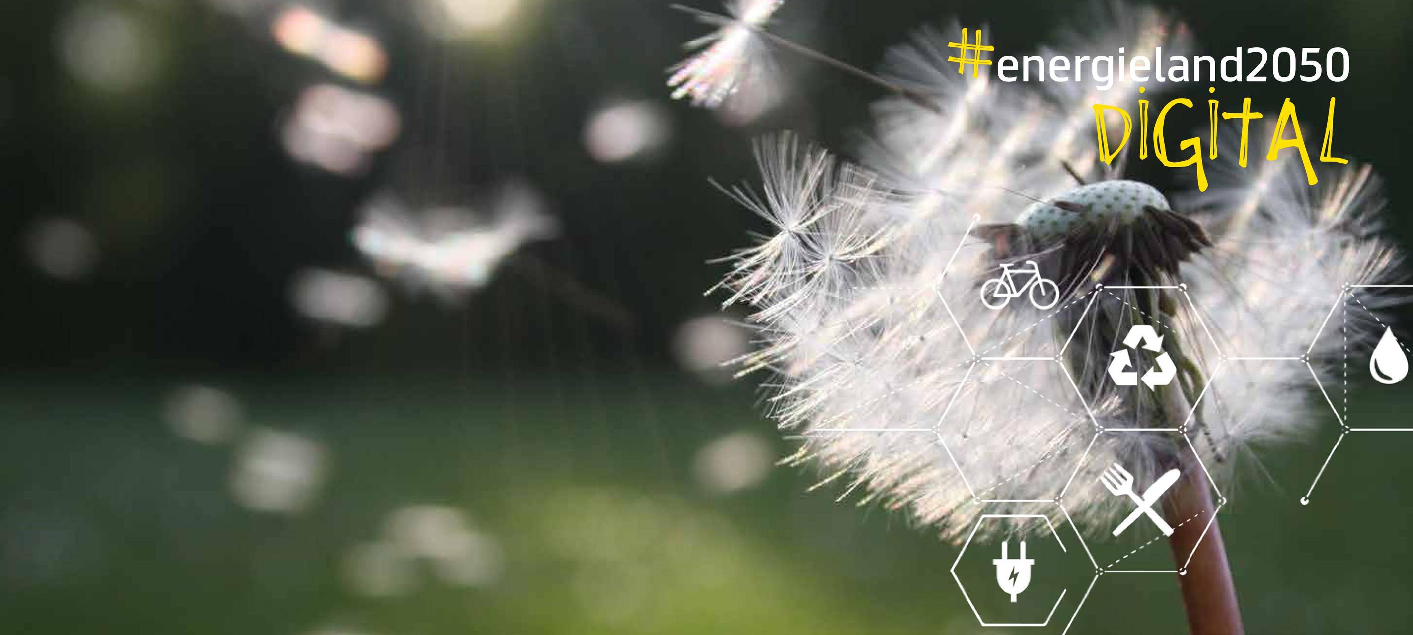 Nachhaltig leben in Zeiten von Corona