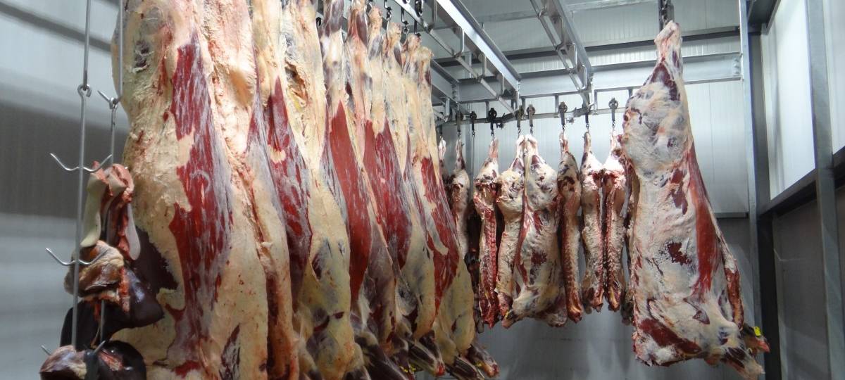 Großkontrolle bei Westfleisch in Münster