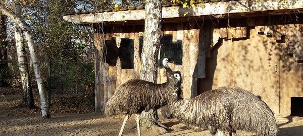 Abstands- und Hygiene-Regeln im Zoo