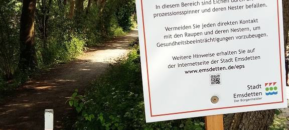 Eichenprozessionsspinner