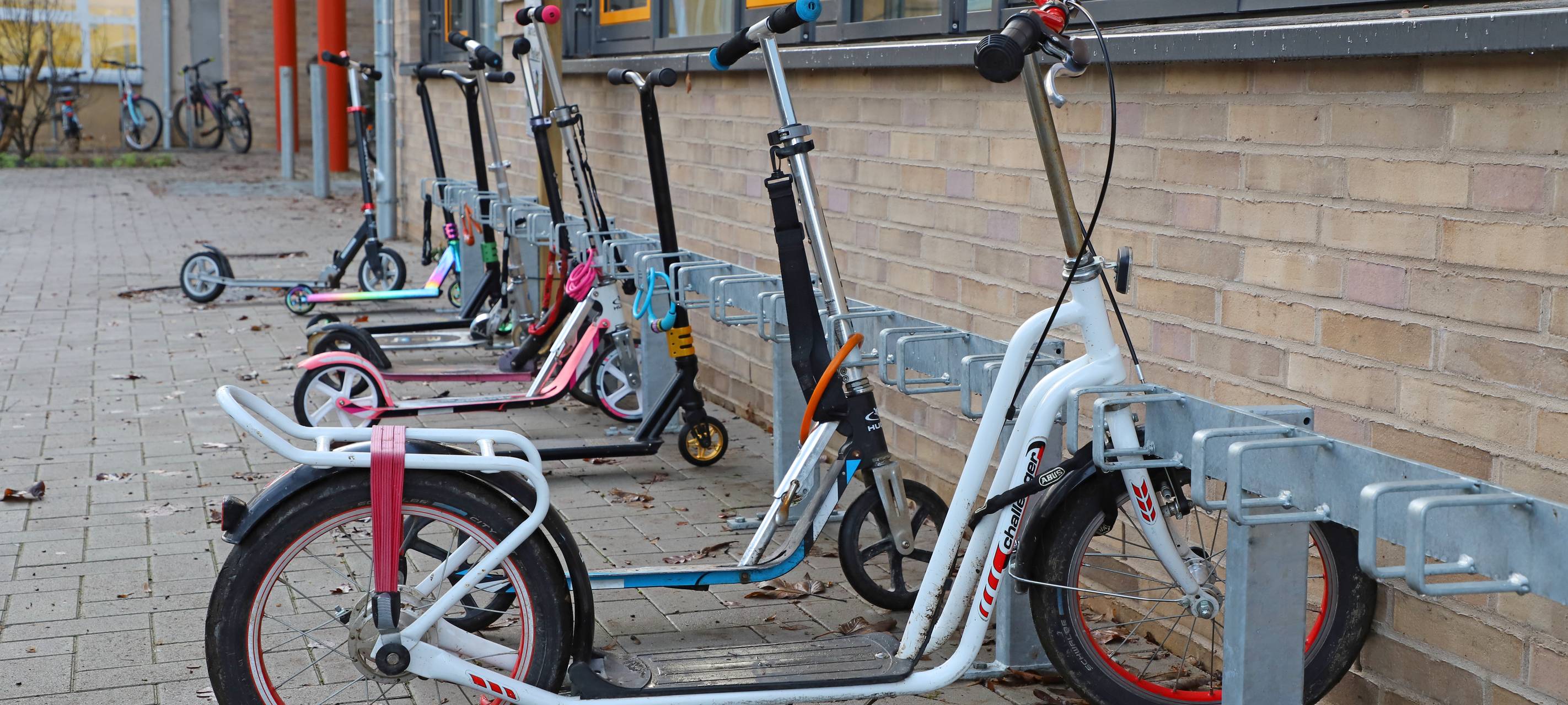Osnabrück verplant Geld aus Nachhaltigkeitspreis