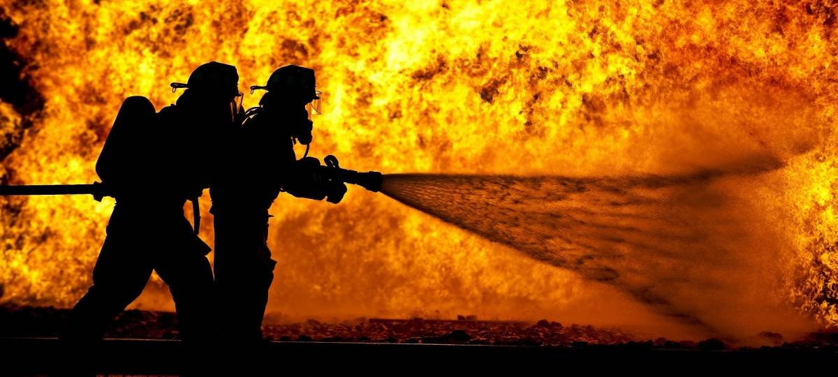 Löschwasser löst Fischsterben aus