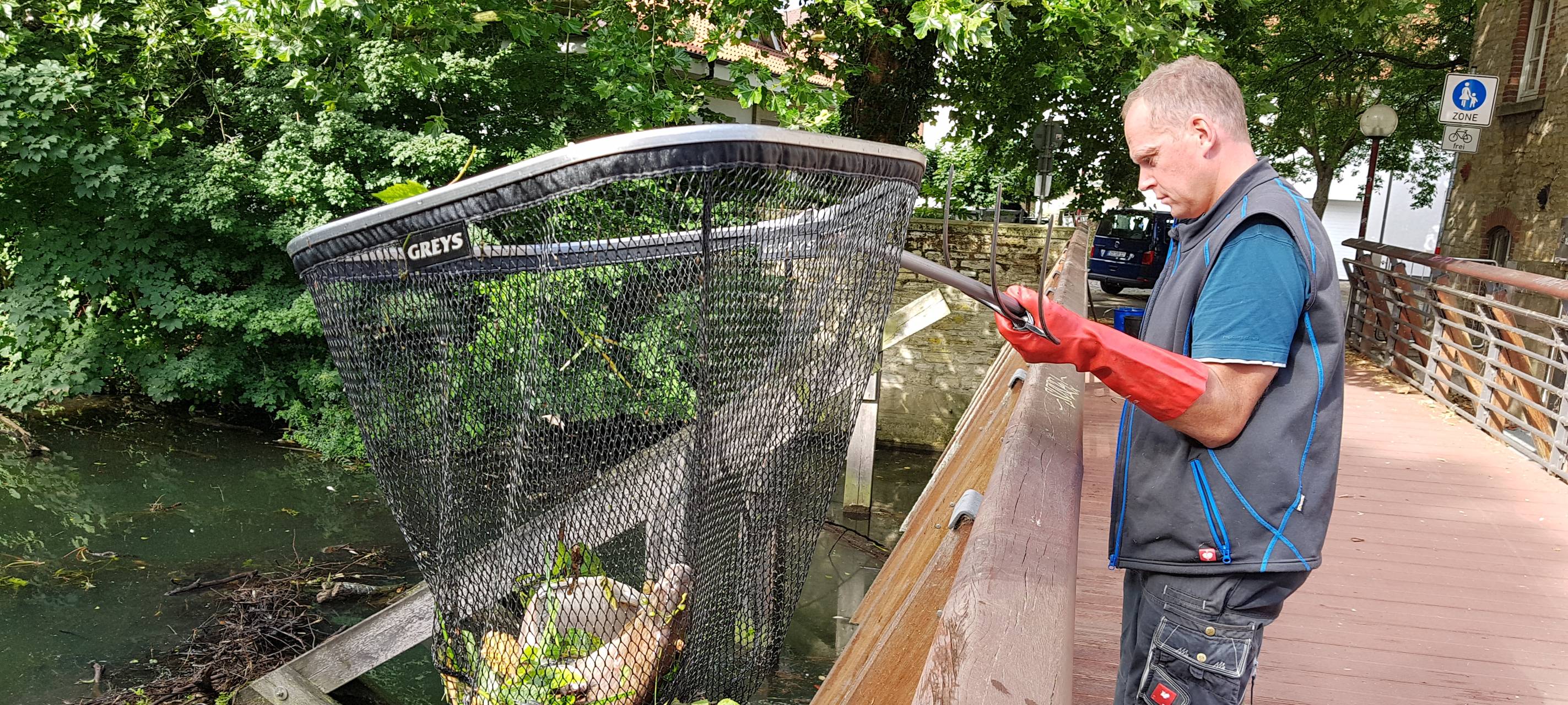 Fischsterben in Osnabrück geht weiter