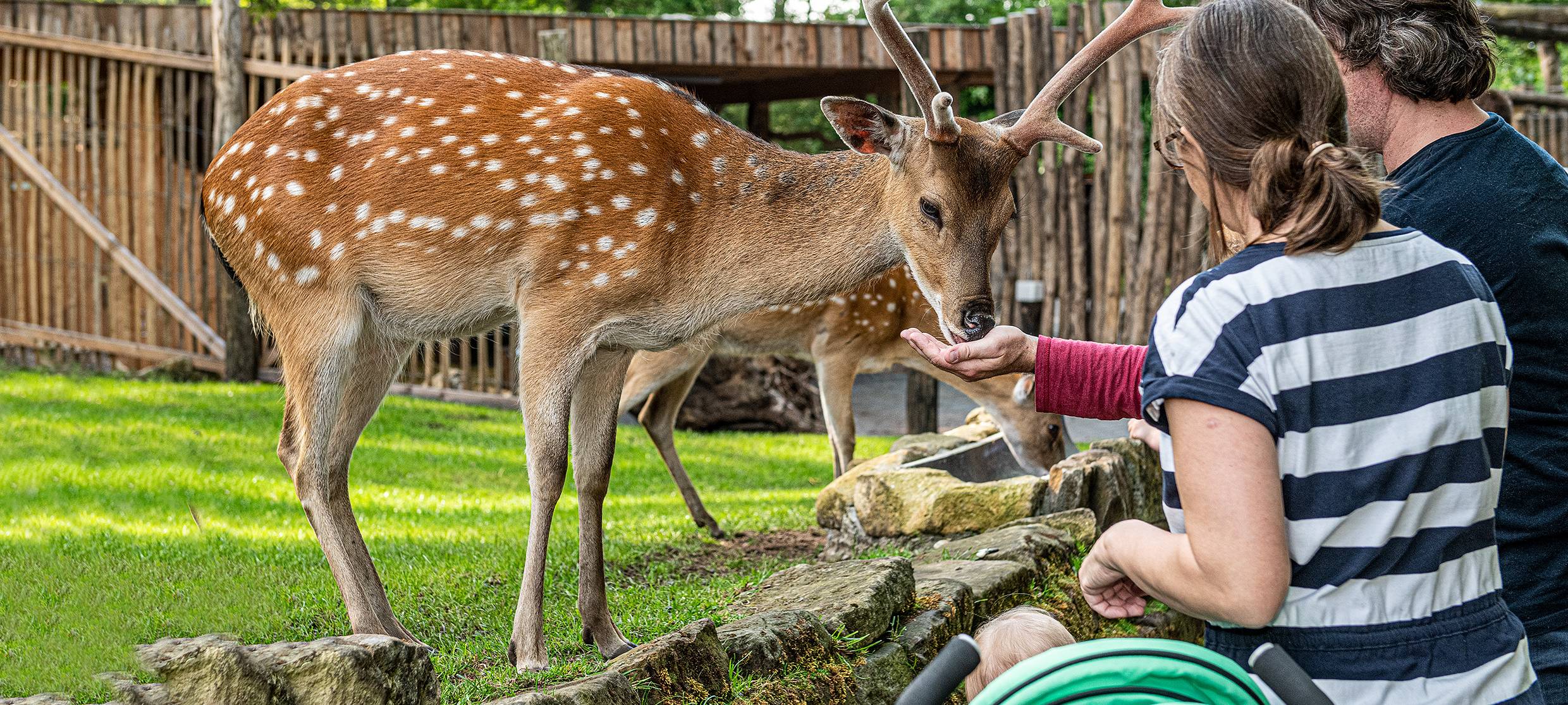 Auflugsziel Tierpark Nordhorn