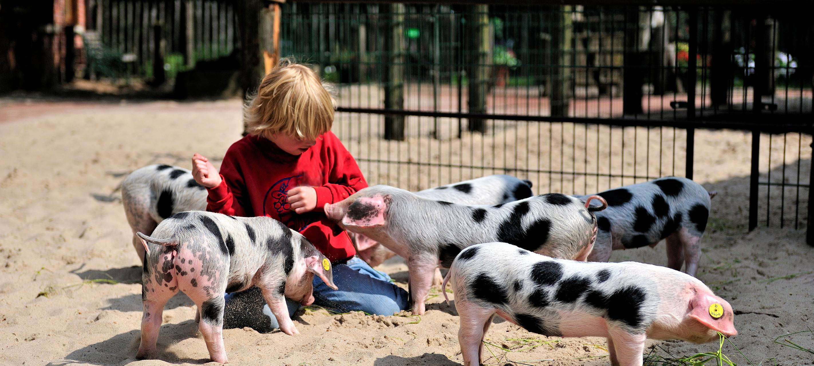 Auflugsziel Tierpark Nordhorn