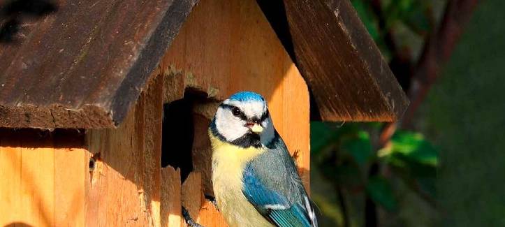 Was für die Umwelt tun