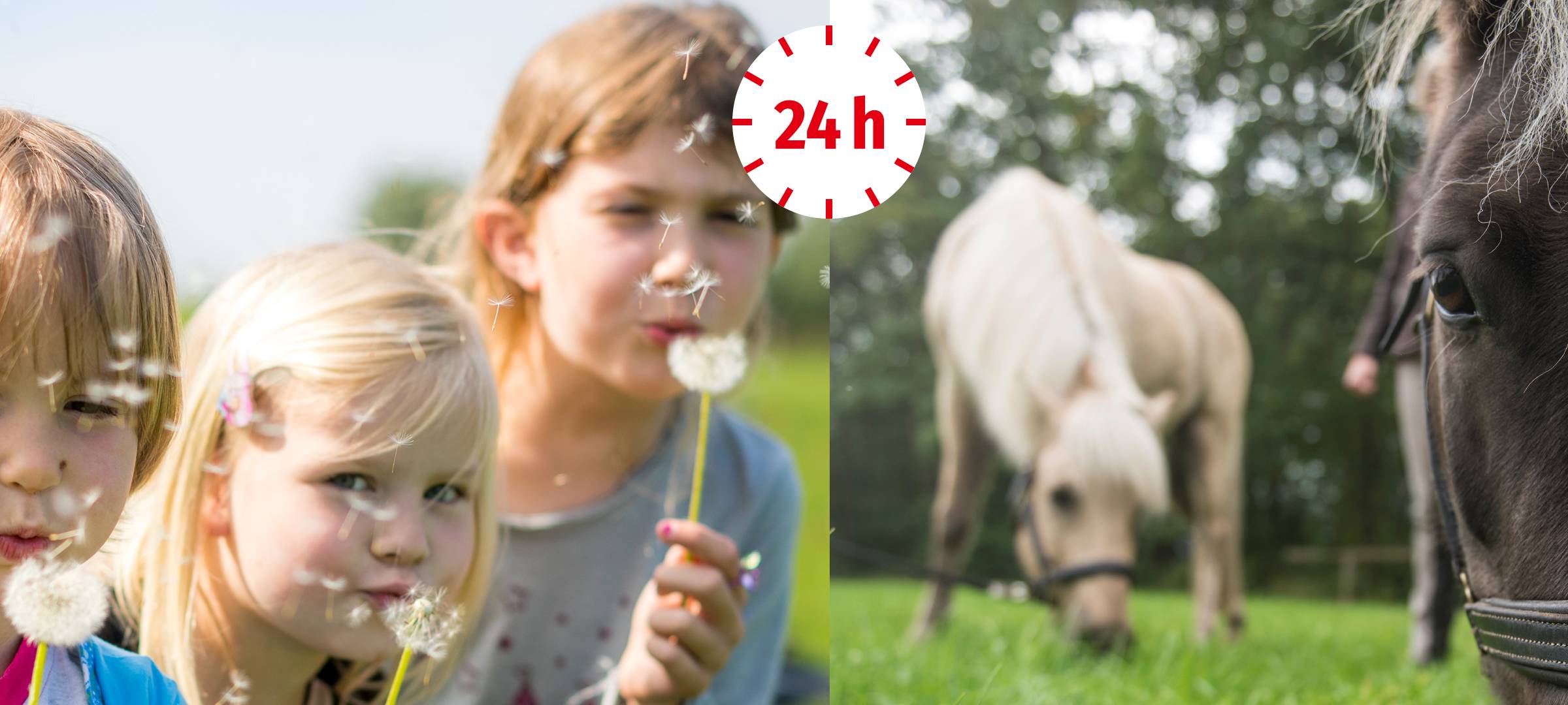 Kids & Animals - 24 Stunden