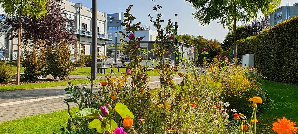 FH Münster setzt auf Nachhaltigkeit und informiert über Projekte