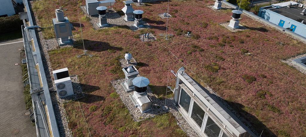 FH Münster setzt auf Nachhaltigkeit und informiert über Projekte