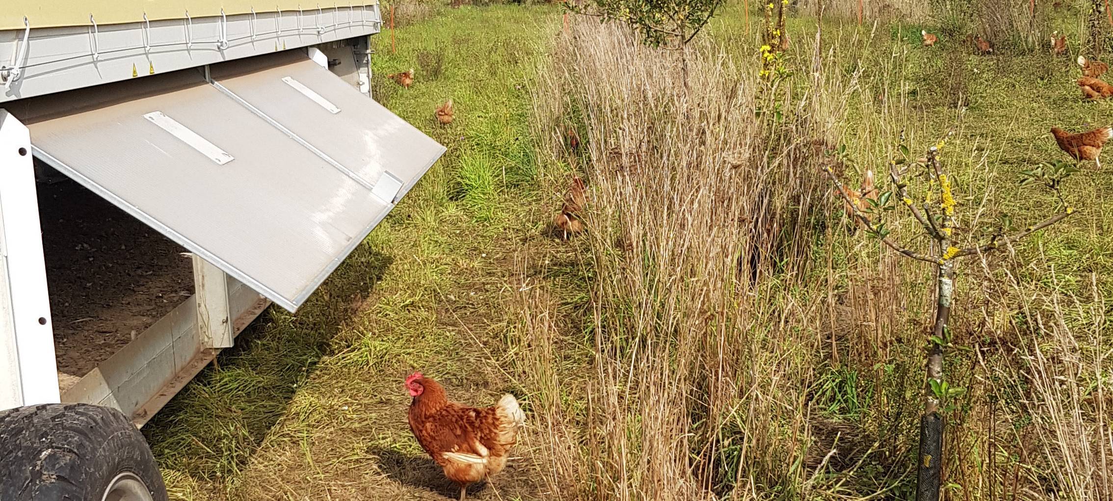 Besuch beim Alstedder Bio-Hof