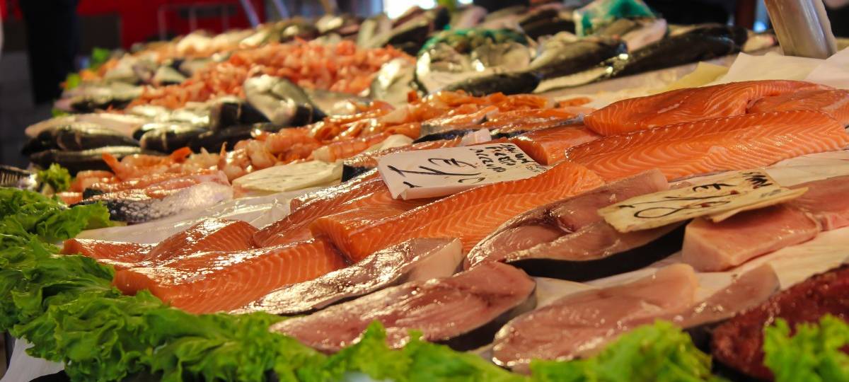 Argumente Fleisch (nicht) zu essen
