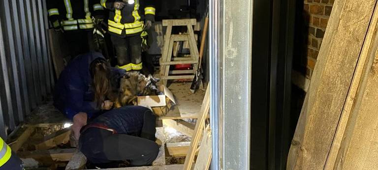 Tierische Rettung in Steinfurt