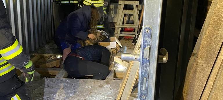 Tierische Rettung in Steinfurt