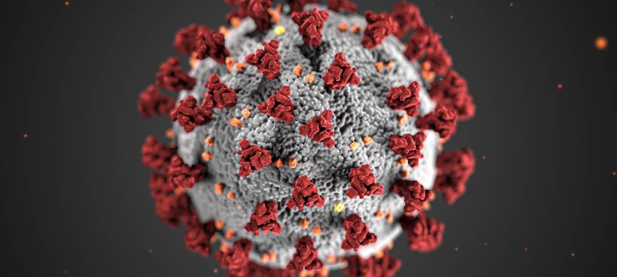 Der Corona-Schnelltest für alle