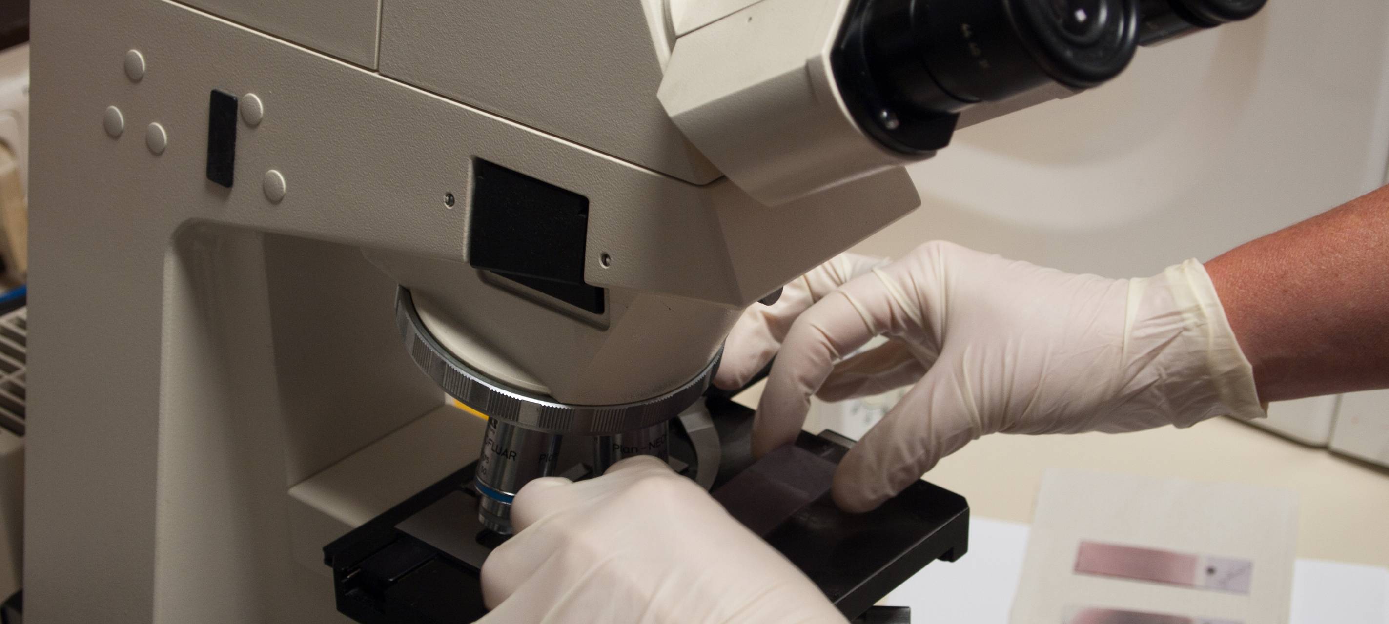 Coronavirus: Immer mehr Menschen wieder gesund